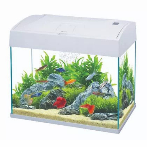 Picture of Aquarium AA-370