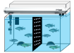 Picture of AQUARIUM BARRIER