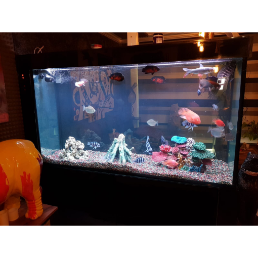 Picture of DESIGN AQUARIUM