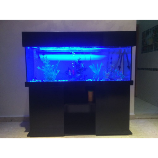 Picture of DESIGN AQUARIUM