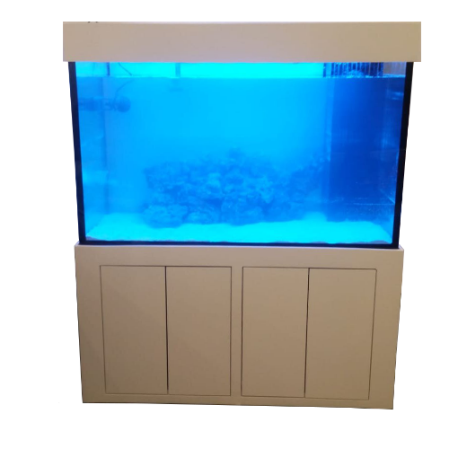 Picture of DESIGN AQUARIUM