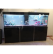 Picture of DESIGN AQUARIUM