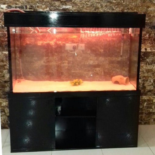 Picture of DESIGN AQUARIUM