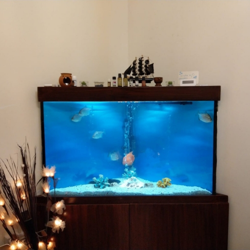 Picture of Design Corner Aquarium