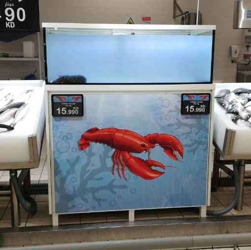 Picture of Design Lobster Tank 