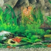 Picture of background Aquarium 50cm